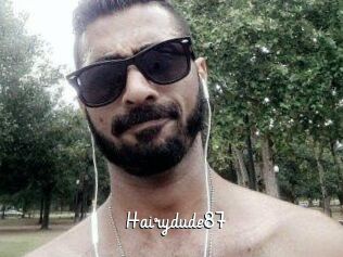 Hairydude87