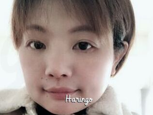Haringo