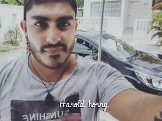 Harold_horny
