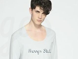 Harrys_Stick