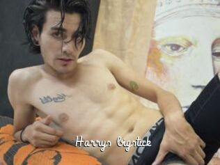 Harrys_bigstick