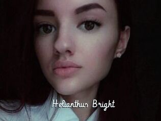 Helianthus_Bright