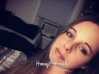 HoneyProspect