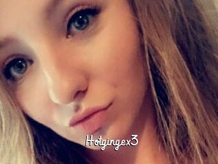 Hotgingex3