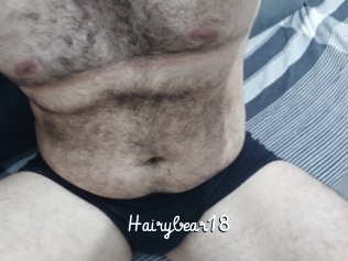 Hairybear18