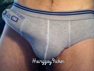 Hairygay9iches