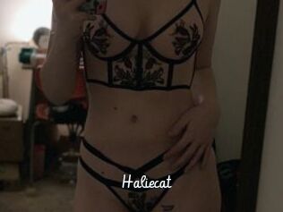 Haliecat