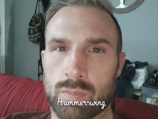 Hammerswing