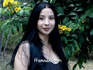 Hamnaholmes