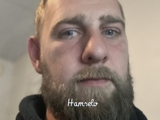 Hamselv