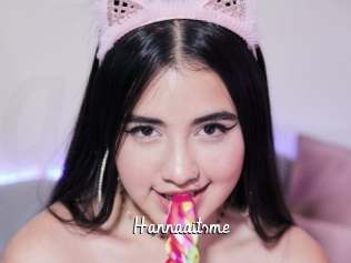 Hannaaitsme