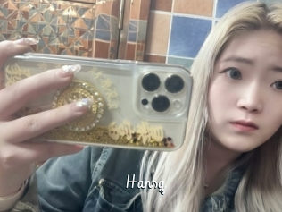 Hansq