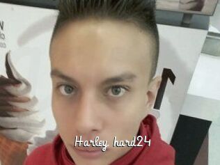Harley_hard24