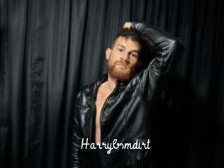 Harrybsmdirt