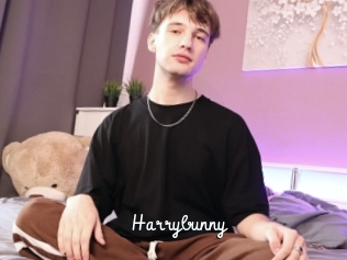 Harrybunny