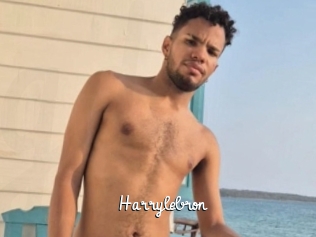Harrylebron