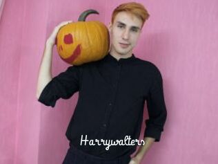 Harrywalters
