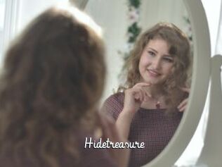 Hidetreasure