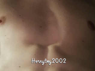 Hornyboy2002