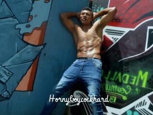 Hornyboycockhard
