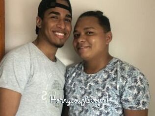 Hornycoupleboys1