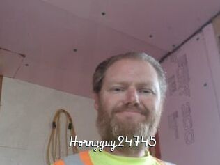 Hornyguy24745