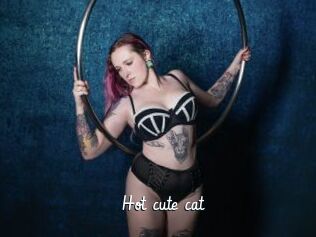 Hot_cute_cat