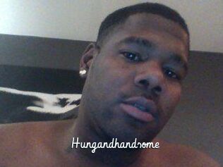 Hungandhandsome