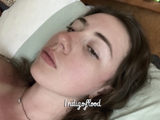 Indigoflood