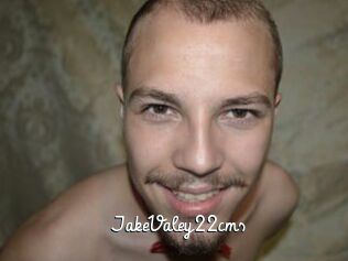 JakeValey22cms