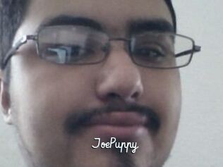 JoePuppy