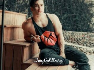 JoeyGoldberg