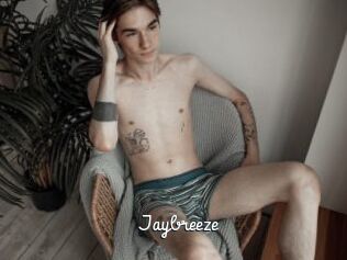 Jaybreeze