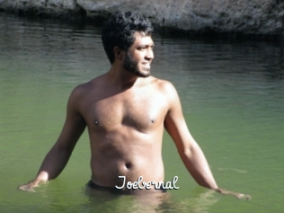 joebernal Galerie du Sexe