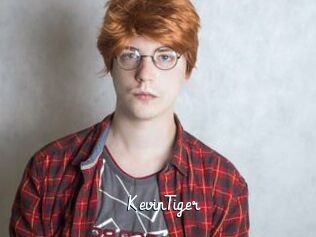 KevinTiger
