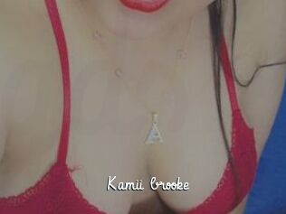 Kamii_brooke