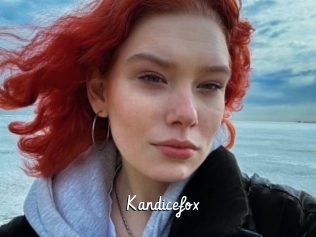 Kandicefox