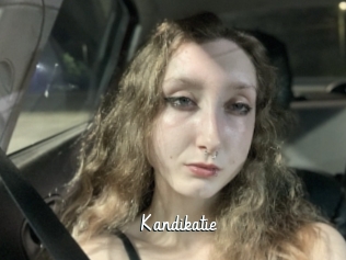 Kandikatie
