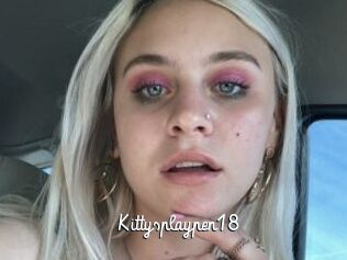 Kittysplaypen18
