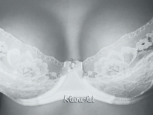 Kleineslet