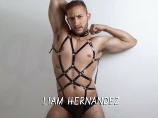 LIAM_HERNANDEZ Galerie du Sexe