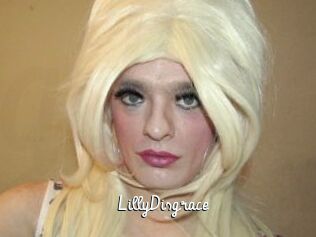 LillyDisgrace