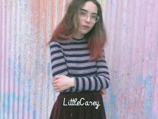 LittleCasey