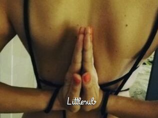 Littlesub