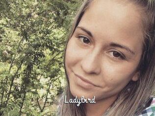 Ladybird