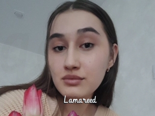 Lamareed