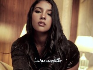 Larixacastillo