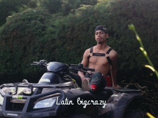 Latin_bigcrazy