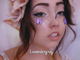 Lavendergrey