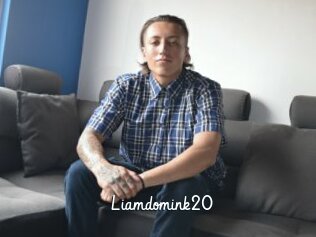 Liamdomink20